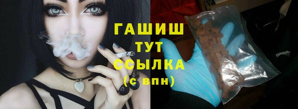 молекула духа Новозыбков
