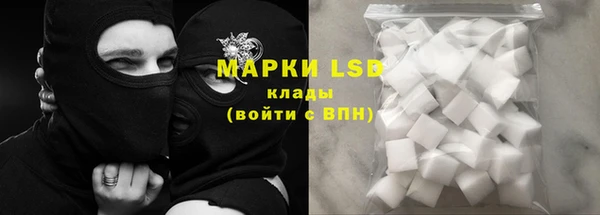 молекула духа Новозыбков