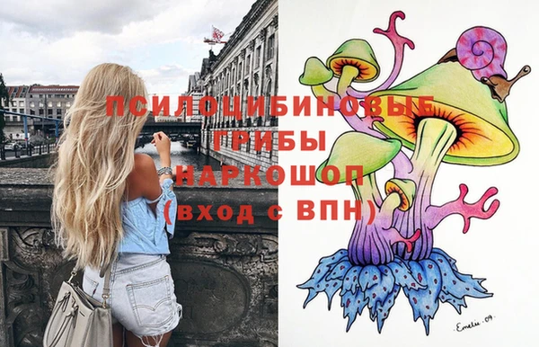 MDMA Няндома