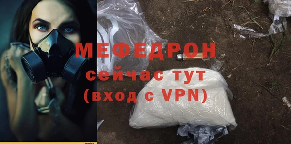 молекула духа Новозыбков