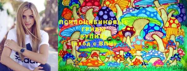 мдпв Нягань