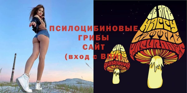 молекула духа Новозыбков