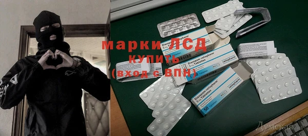 молекула духа Новозыбков