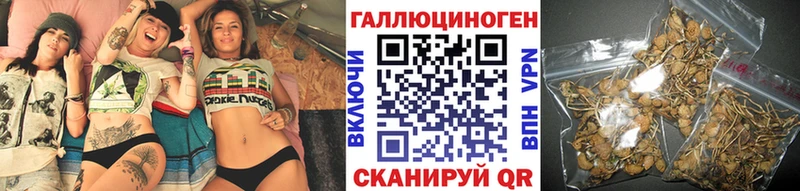 купить наркоту  Кирсанов  кракен рабочий сайт  Галлюциногенные грибы мухоморы 